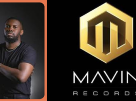 Tega is the current COO of Mavin Records
